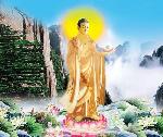Kinh Cầu Phật Dược Sư image