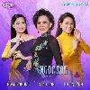 Thúy Nga Music Box 33 - Tình Ca Ngọc Sơn